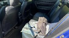 2019 Toyota Corolla SE MANUAL 6 SPEED - Photo 9