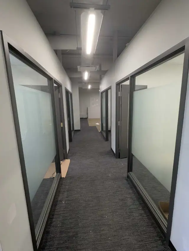 Professional Painters Available
