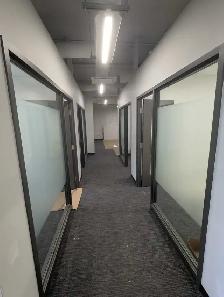 Professional Painters Available