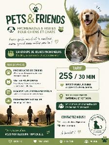 pets and friends