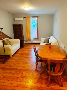 Furnished 2 Bedroom Apartment For Rent ALL INCL, near Queen's - Photo 5