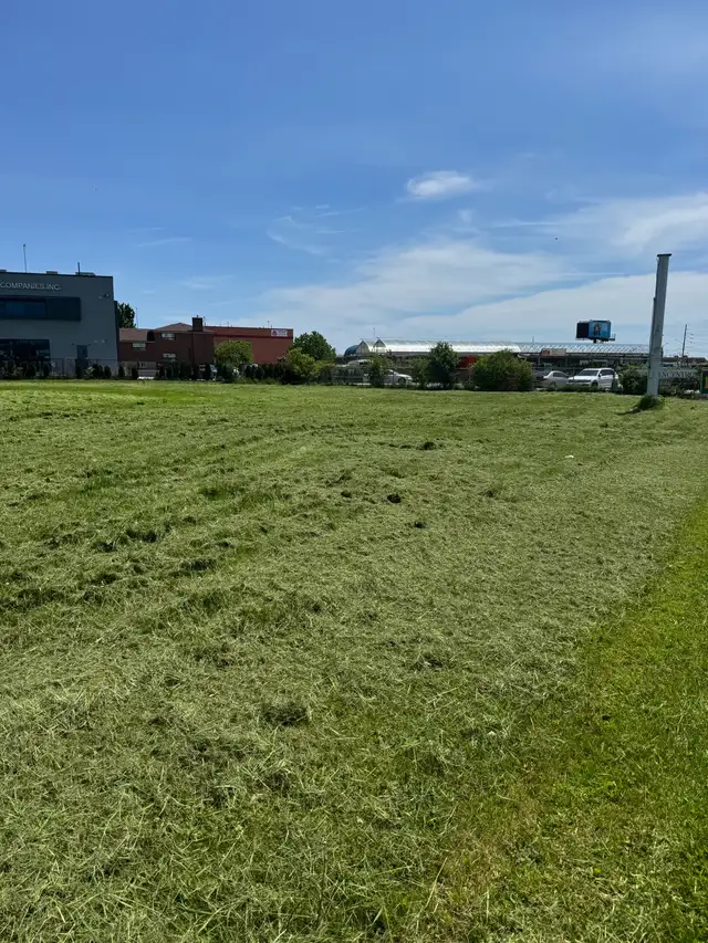 Tall Grass cutting, Rough Cut fields, Bush Hog cutting,
