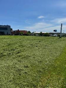 Tall Grass cutting, Rough Cut fields, Bush Hog cutting,