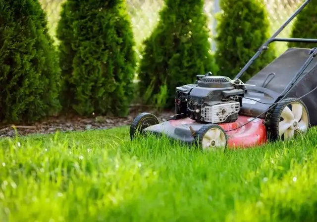 Lawn cutting 905-327-6655