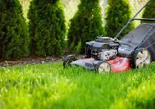 Lawn cutting 905-327-6655