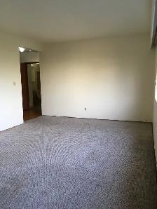 1 bedroom suite for rent in Vancouver - Photo 4