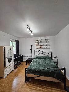 2 1/2 appartement à louer Plateau-Mont-Royal330 Laurier Ave E - Photo 5