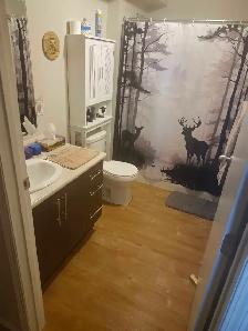 Spacious 2 bedroom - Photo 6