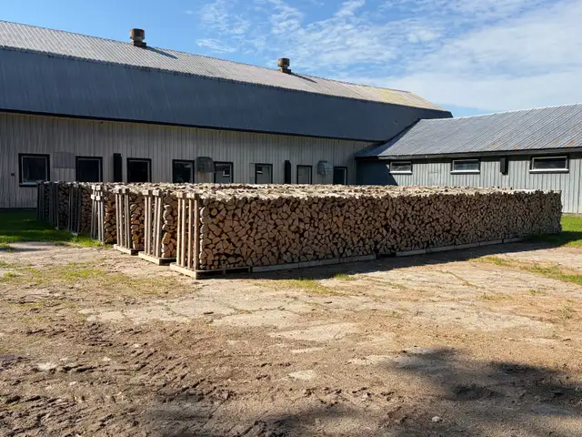 Bois de chauffage sec