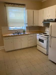 Dufferin & Rogers. 1 B/R Unfurnished Apartment - Photo 4