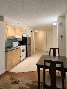 Beautiful 1-Bedroom Apartment  Superbe appartement 3½ à loue - Photo 9