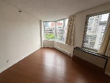 Beautiful 1-Bedroom Apartment  Superbe appartement 3½ à loue - Photo 10