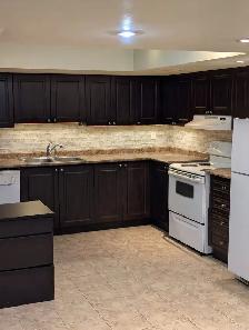 $2,300 - 2BR Wonderful Bsmnt Home in Thornhill. Incl.-Utilities