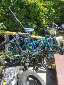 roadmaster mountain bike