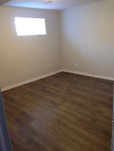 One Bed Basement Apartment - Photo 3