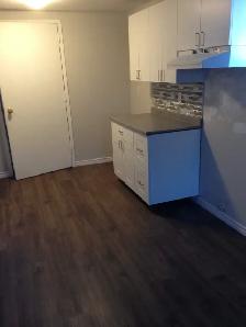 One Bed Basement Apartment - Photo 5
