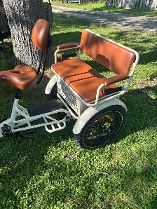 Ridex Passenger and Cargo e-bike - Photo 7