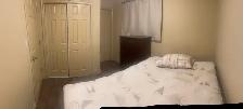 Basement for rent in Laurel millwoods - Photo 6