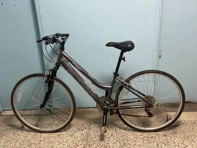 Nakamura Alsace Mountain Bike
