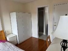 rooms for rent at York University village - Photo 3