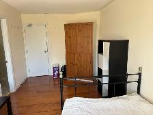 rooms for rent at York University village - Photo 6