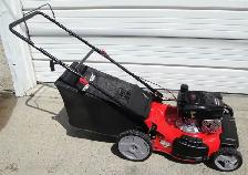 POWERSMART REAR BAG GAS LAWNMOWER - Photo 2