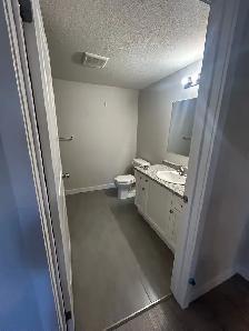 Beautiful 2 Bed, 2 Bath Townhome Condo for Rent – Huron Area - Photo 8