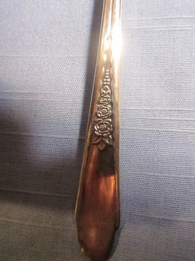 #19-57D   GARDENIA silverware set for 8