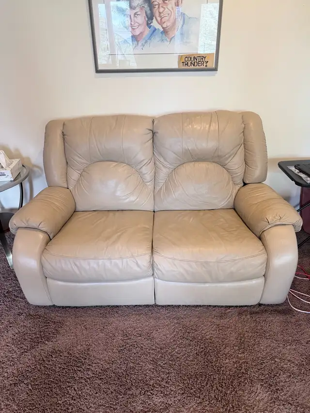 Leather Reclining Sofa and Loveseat Set