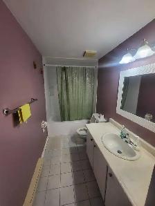 Private room for rent - Photo 8