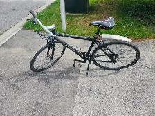 Adult Commuter Bike For Sale