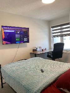 private bedroom for rent