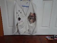 Women's Pomeranian Sweater