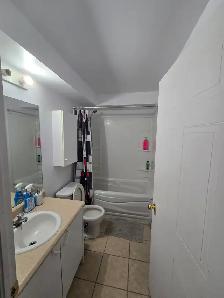 Chambre meublée /Furnished Room  Hull (Plateau - Photo 5