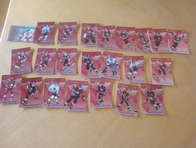 Carte Hockey Donruss 1994  Mondial Junior 45 cartes (120626-107)