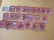 Carte Hockey Donruss 1994  Mondial Junior 45 cartes (120626-107)