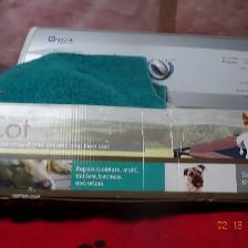 Pet Cot - Photo 2