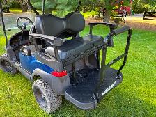 Custom Carts Golf Cart - Photo 2