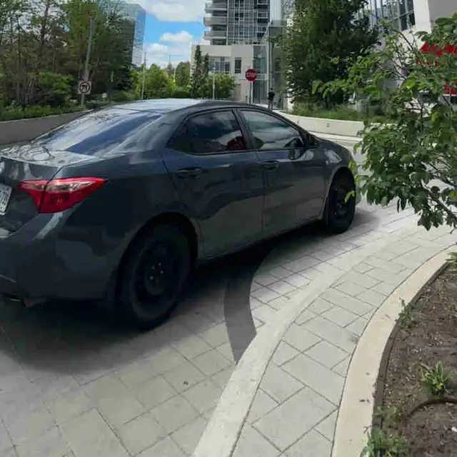 Toyota Corolla 2019 LE Dark Grey