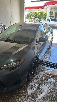 Toyota Corolla 2019 LE Dark Grey - Photo 2