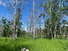 Firewood for sale