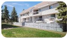 suite for rent