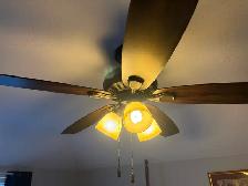 ceiling lights/fan