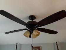 ceiling lights/fan - Photo 2