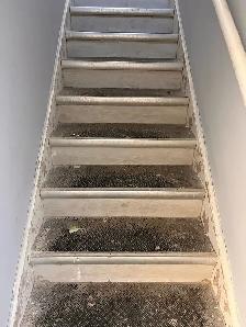 summer cleaning - Photo 3