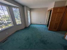 Modern Two-Story Two-Bedroom Duplex: No Basement - Photo 9