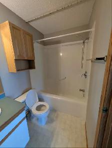 Modern Two-Story Two-Bedroom Duplex: No Basement - Photo 10