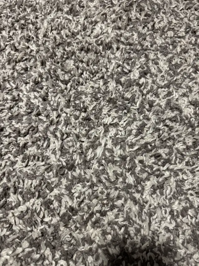 8x10 Area Rug
