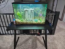 29 GALLON FISH TANK WITH FISH