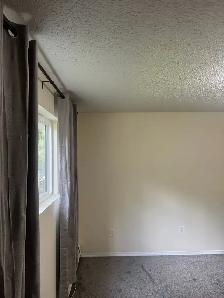 TWO BEDROOM APARTMENT RED DEER - Photo 4